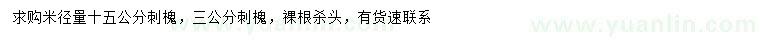 求購(gòu)米徑3、15公分刺槐