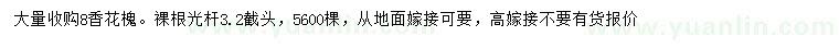 求購(gòu)8香花槐