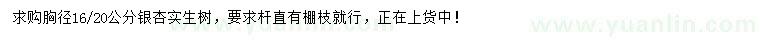 求購胸徑16、20公分銀杏