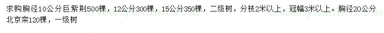 求購(gòu)胸徑10、12、15公分巨紫荊、胸徑20公分北京欒