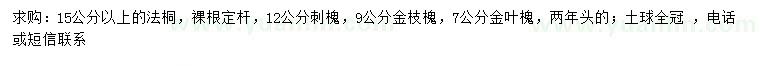 求購法桐、刺槐、金枝槐