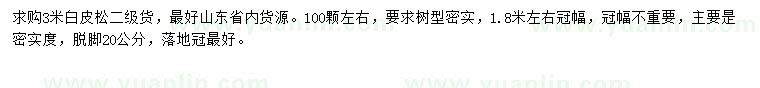 求購3米白皮松