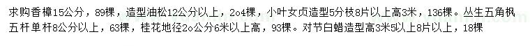 求購(gòu)香樟、造型油松、造型小葉女貞等