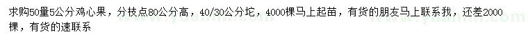 求購50量5公分雞心果