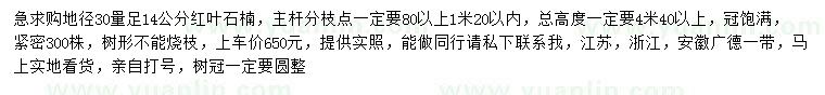 求購30量14公分紅葉石楠