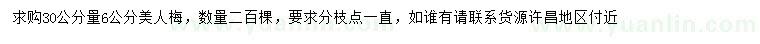 求購30量6公分美人梅