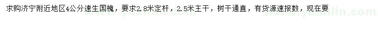 求購(gòu)4公分速生國(guó)槐