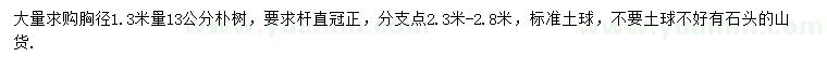 求購(gòu)胸徑1.3米量13公分樸樹