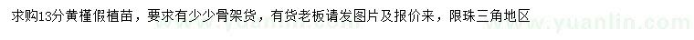 求購13公分黃槿