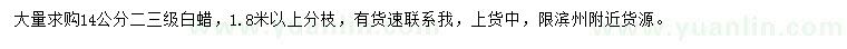 求購14公分白蠟
