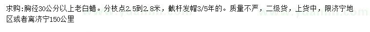 求購(gòu)胸徑30公分以上老白蠟