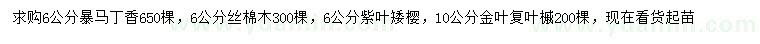 求購暴馬丁香、絲棉木、紫葉矮櫻等