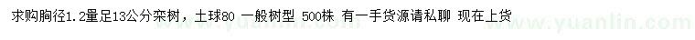求購1.2量13公分欒樹