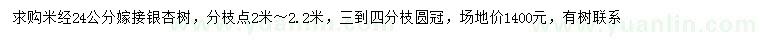 求購米徑24公分嫁接銀杏
