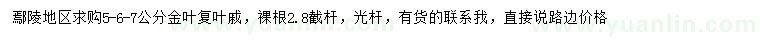 求購5、6、7公分金葉復(fù)葉槭