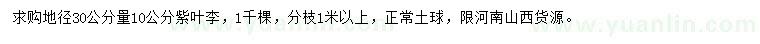 求購地徑30量10公分紫葉李