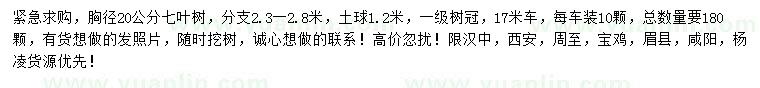 求購胸徑20公分七葉樹