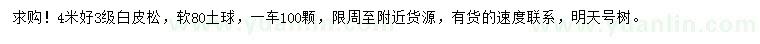 求購(gòu)4米白皮松