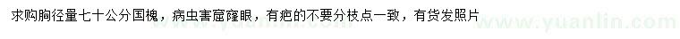 求購胸徑70公分國槐