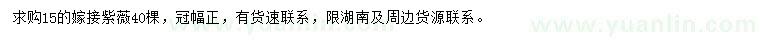 求購(gòu)15公分紫薇