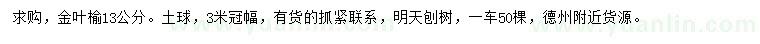 求購13公分金葉榆