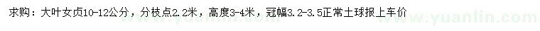 求購10-12公分大葉女貞