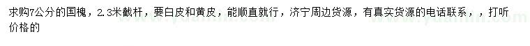 求購7公分國槐