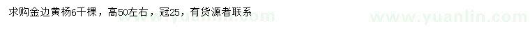 求購(gòu)高50公分左右金邊黃楊
