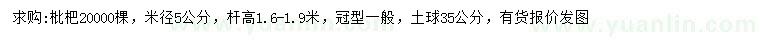 求購米徑5公分枇杷