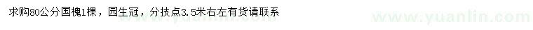 求購80公分國槐