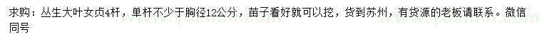 求購4分枝叢生大葉女貞