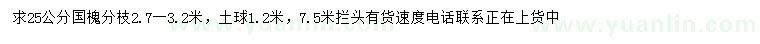 求購(gòu)25公分國(guó)槐