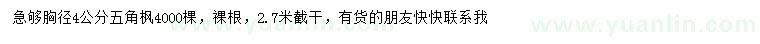 求購胸徑4公分五角楓