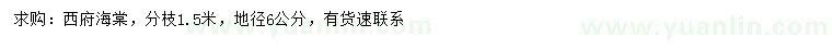 求購地徑6公分西府海棠