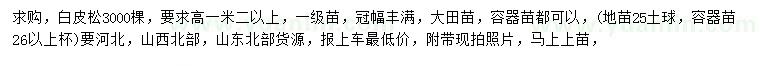 求購高1.2米以上白皮松