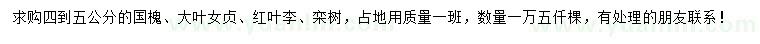 求購國槐、大葉女貞、紅葉李等