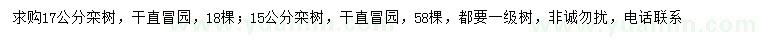 求購15、17公分欒樹