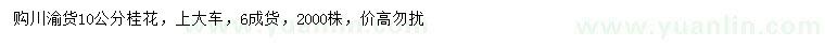 求購10公分桂花
