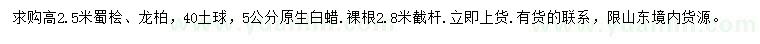 求購(gòu)蜀檜、龍柏、原生白蠟