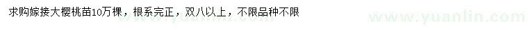 求購大櫻桃苗