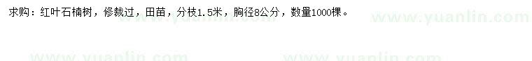 求購胸徑8公分紅葉石楠樹