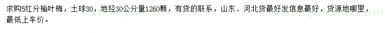 求購30量5公分榆葉梅