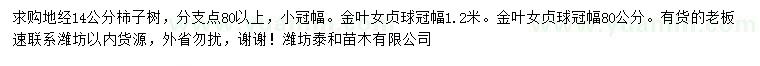 求購地徑14公分柿子樹、冠幅0.8、1.2米金葉女貞球