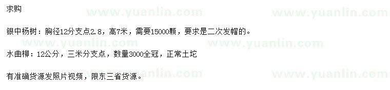 求購胸徑12公分銀中楊、水曲柳