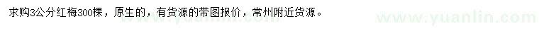 求購3公分紅梅