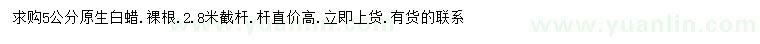 求購5公分原生白蠟