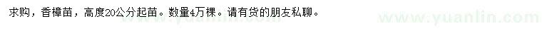 求購高20公分以上香樟