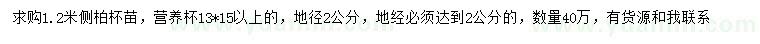 求購地徑1.2公分側(cè)柏