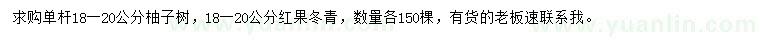求購(gòu)18-20公分柚子樹(shù)、紅果冬青