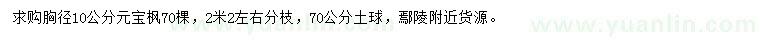 求購胸徑10公分元寶楓